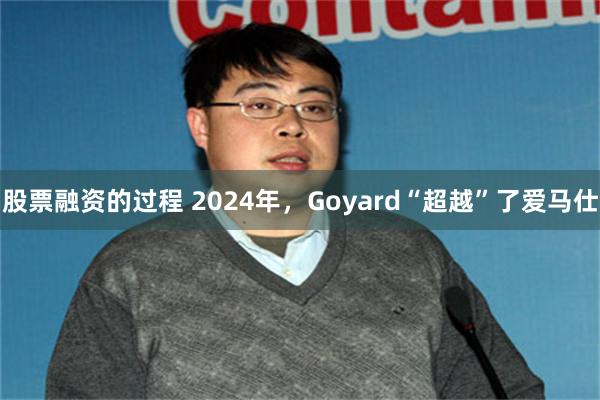 股票融资的过程 2024年，Goyard“超越”了爱马仕