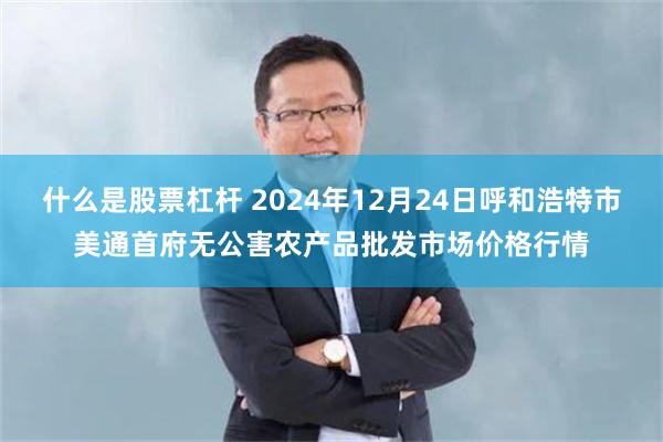 什么是股票杠杆 2024年12月24日呼和浩特市美通首府无公害农产品批发市场价格行情