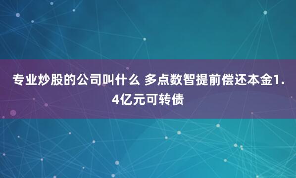 专业炒股的公司叫什么 多点数智提前偿还本金1.4亿元可转债