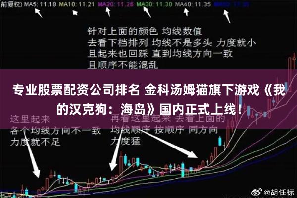 专业股票配资公司排名 金科汤姆猫旗下游戏《我的汉克狗：海岛》国内正式上线！