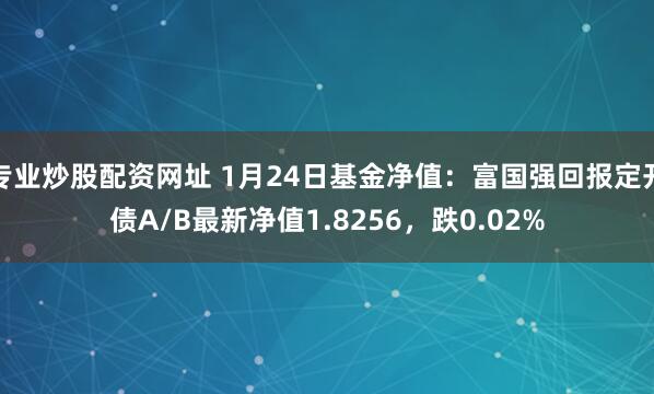 专业炒股配资网址 1月24日基金净值：富国强回报定开债A/B最新净值1.8256，跌0.02%