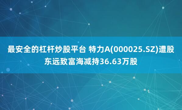 最安全的杠杆炒股平台 特力A(000025.SZ)遭股东远致富海减持36.63万股