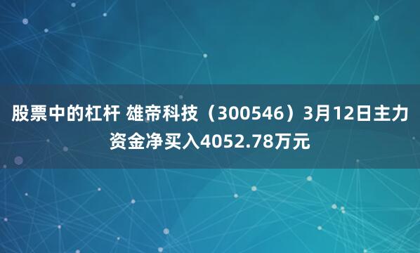 股票中的杠杆 雄帝科技（300546）3月12日主力资金净买入4052.78万元