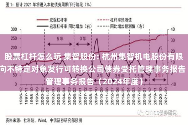 股票杠杆怎么玩 集智股份: 杭州集智机电股份有限公司2024年向不特定对象发行可转换公司债券受托管理事务报告（2024年度）