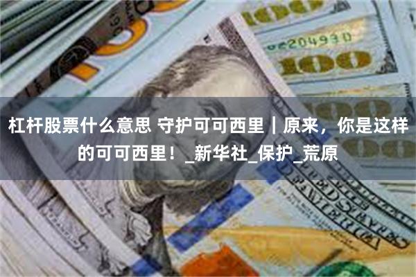杠杆股票什么意思 守护可可西里｜原来，你是这样的可可西里！_新华社_保护_荒原